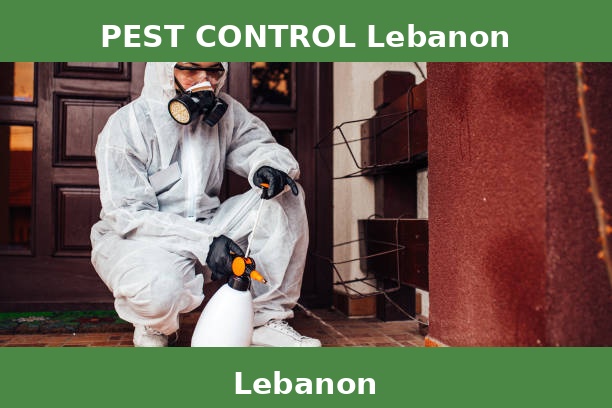 PEST CONTROL Lebanon